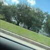 amayabrown463